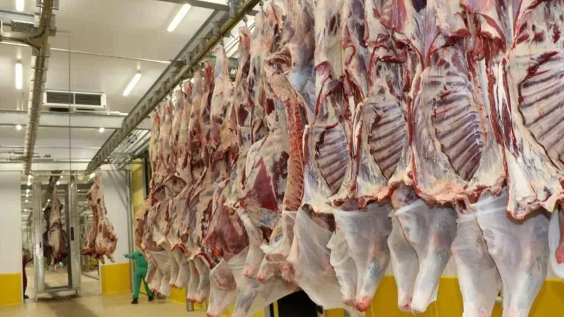 Et fiyatlarında şok düşüş: Kesim fiyatları 75 TL geriledi!