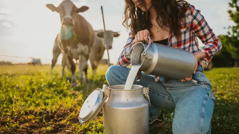 İzmir İl Tarım ve Orman Müdürlüğü: 2025 yılı çiğ süt destekleme icmalleri askıya çıkarıldı