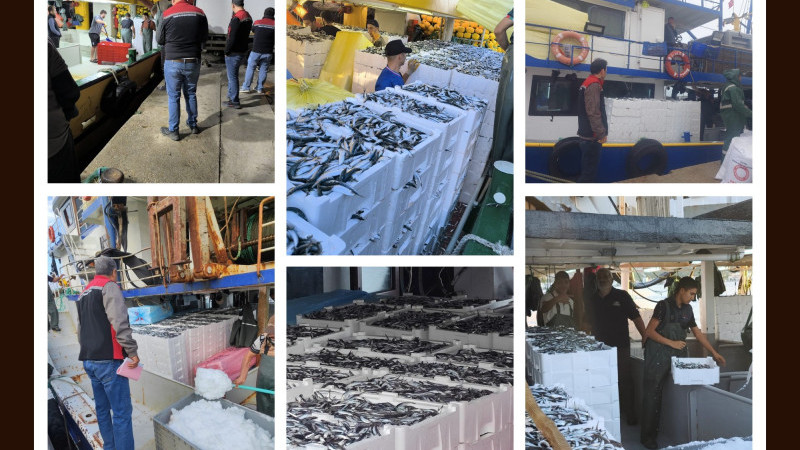 İzmir’de 113,7 ton su ürünü denetimden geçti