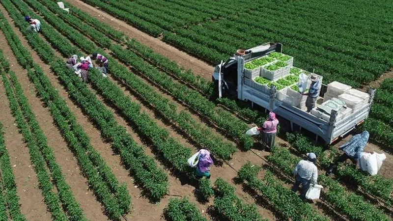 İzmir'de üreticilere 2025 yılına ait destekleme ödemeleri yapıldı